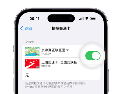 贾汪apple维修点分享iPhone上更换Apple Pay快捷交通卡手绘卡面 