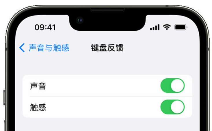 贾汪苹果手机维修分享iPhone 14触感键盘使用方法 