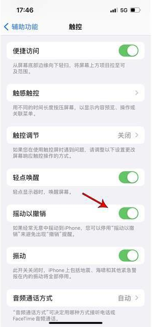 贾汪苹果手机维修分享iPhone手机如何设置摇一摇删除文字 