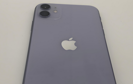 贾汪苹果11系统维修分享iPhone11手机系统崩溃无法开机如何解决 